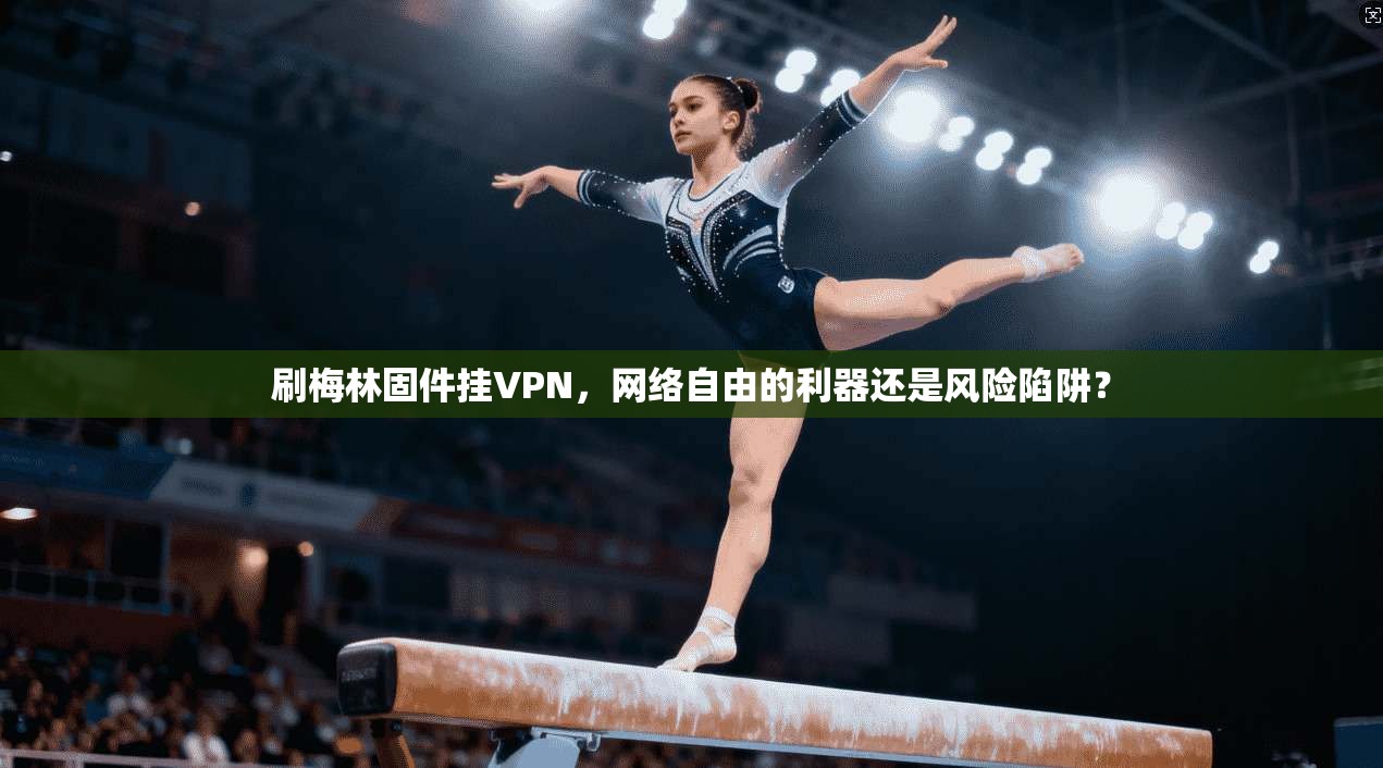 刷梅林固件挂VPN，网络自由的利器还是风险陷阱？
