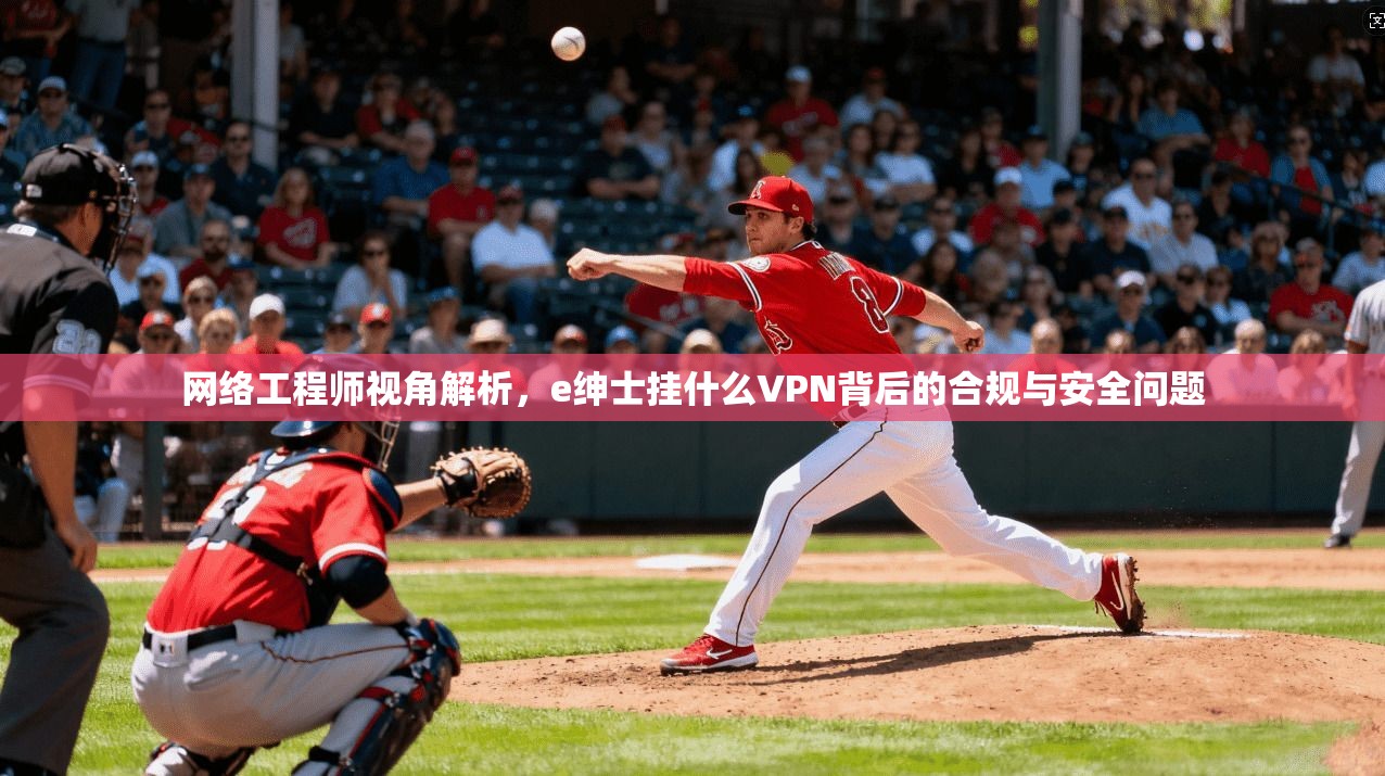 网络工程师视角解析，e绅士挂什么VPN背后的合规与安全问题