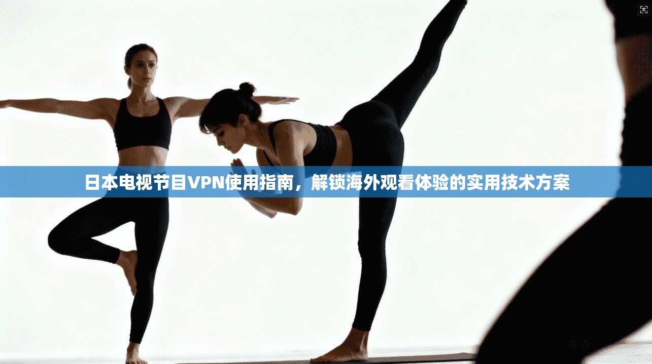日本电视节目VPN使用指南，解锁海外观看体验的实用技术方案