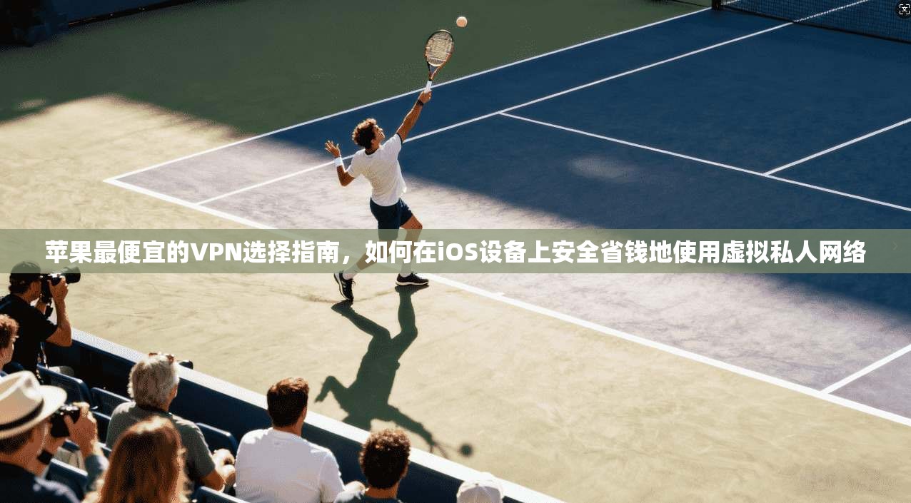 苹果最便宜的VPN选择指南，如何在iOS设备上安全省钱地使用虚拟私人网络