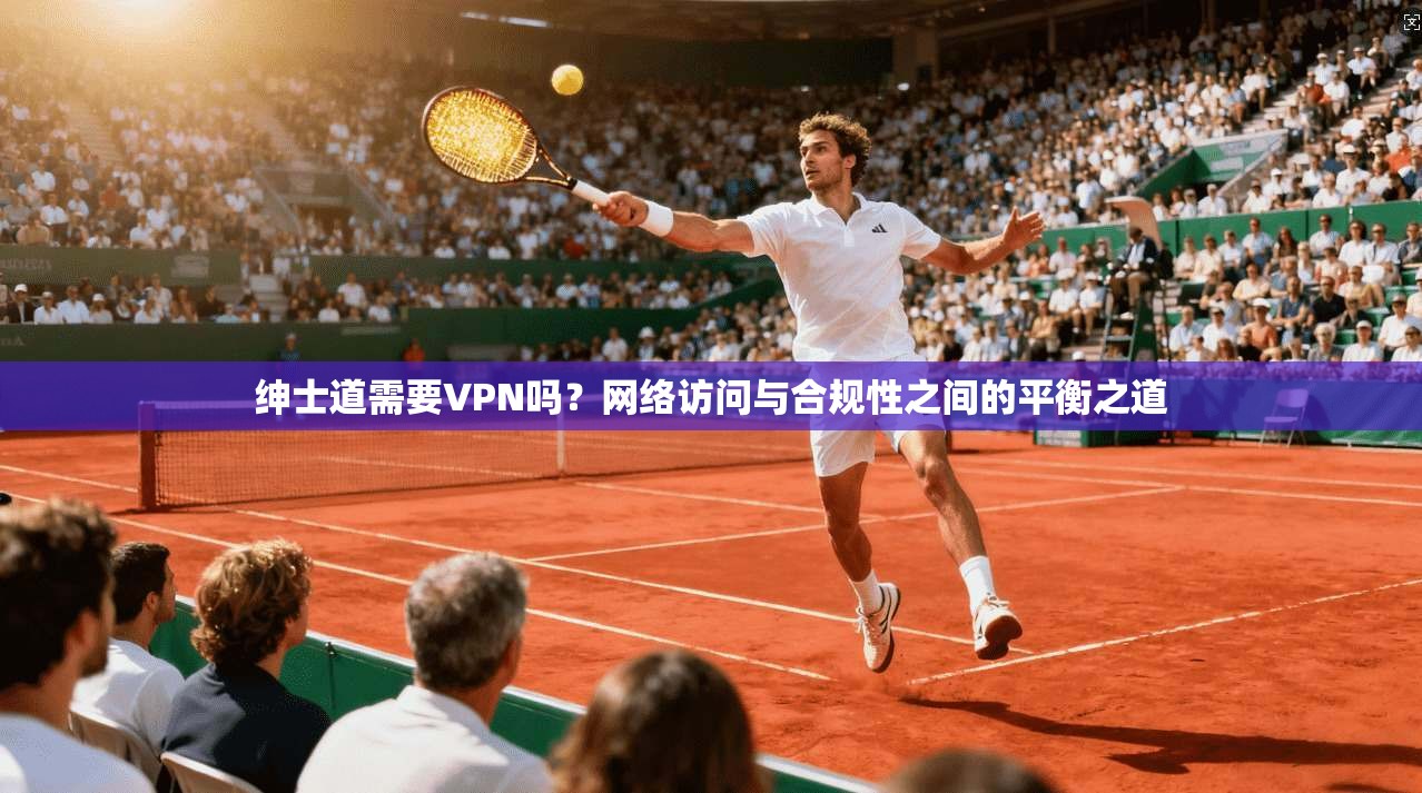 绅士道需要VPN吗？网络访问与合规性之间的平衡之道