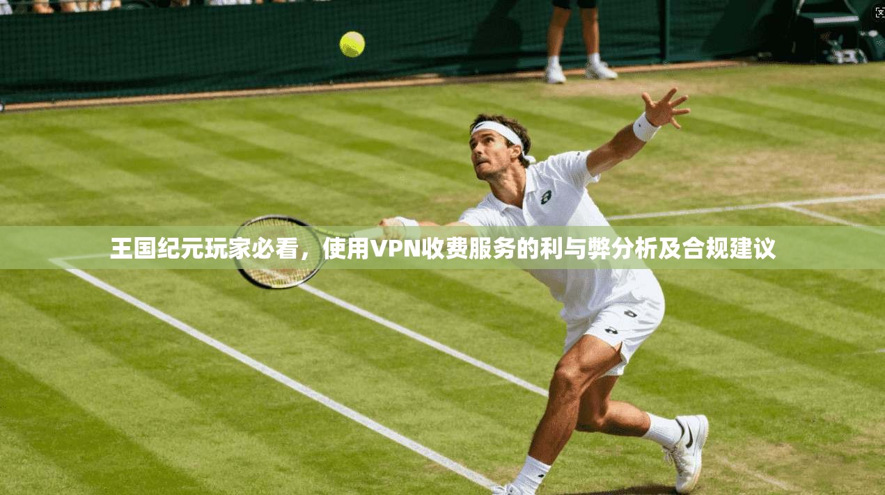 王国纪元玩家必看，使用VPN收费服务的利与弊分析及合规建议