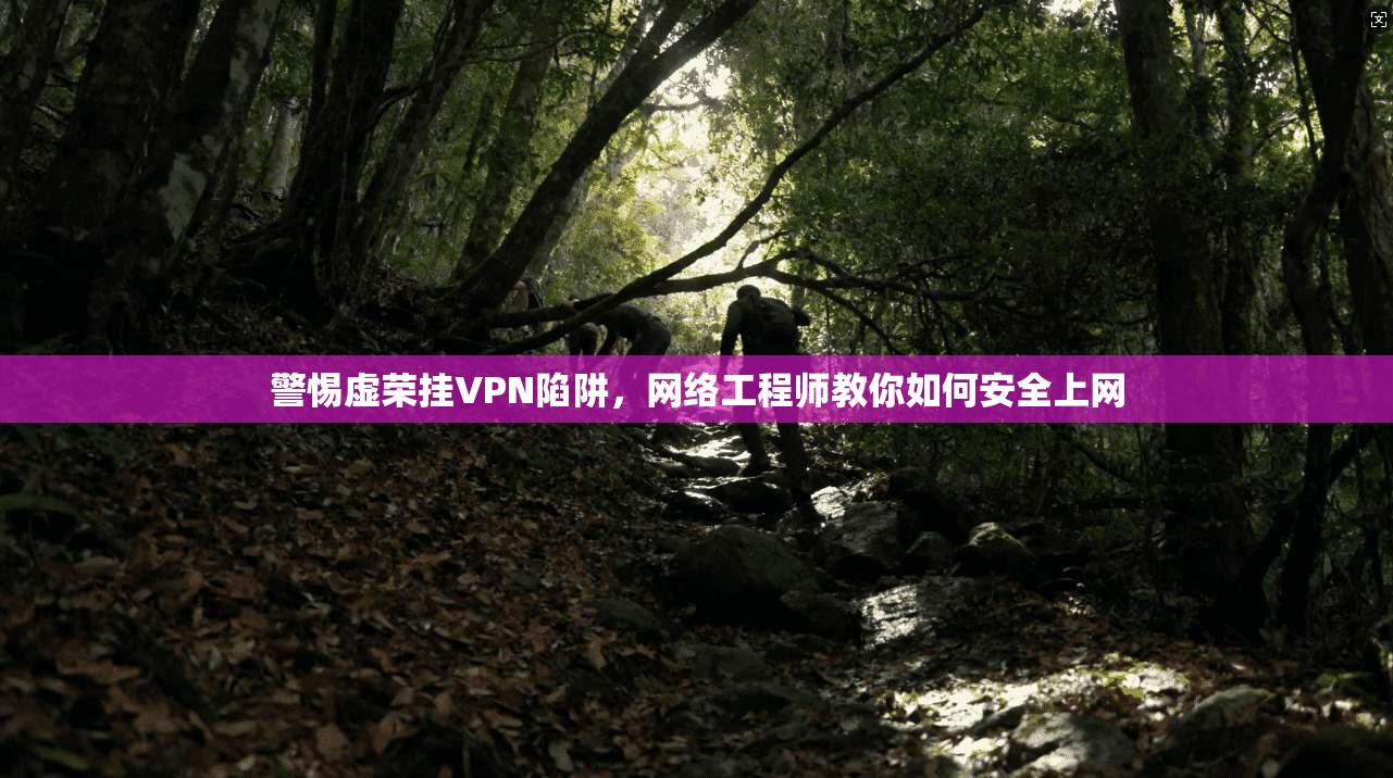 警惕虚荣挂VPN陷阱，网络工程师教你如何安全上网