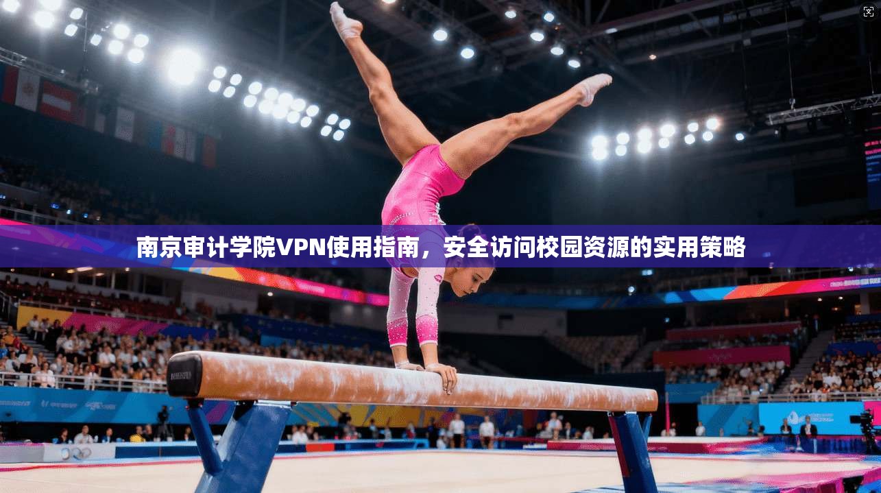 南京审计学院VPN使用指南，安全访问校园资源的实用策略