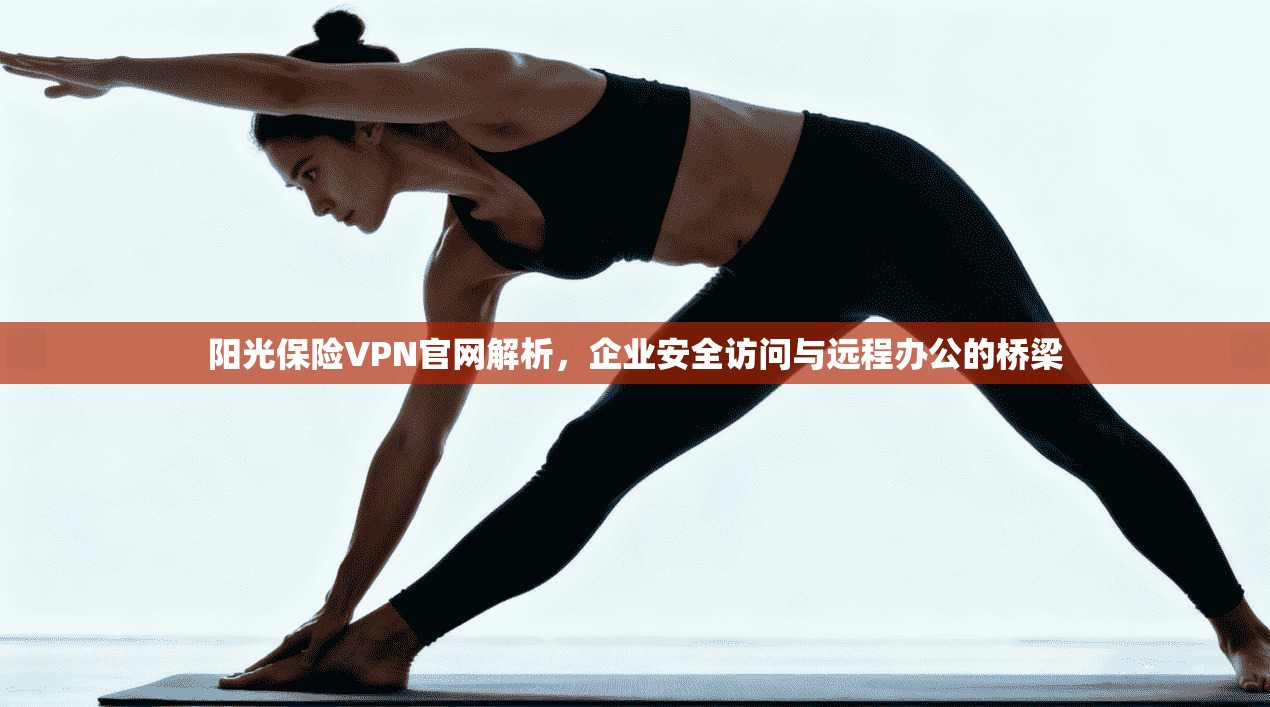 阳光保险VPN官网解析，企业安全访问与远程办公的桥梁