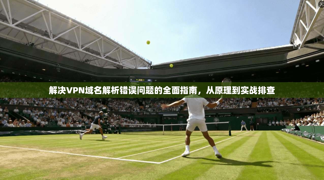 解决VPN域名解析错误问题的全面指南，从原理到实战排查