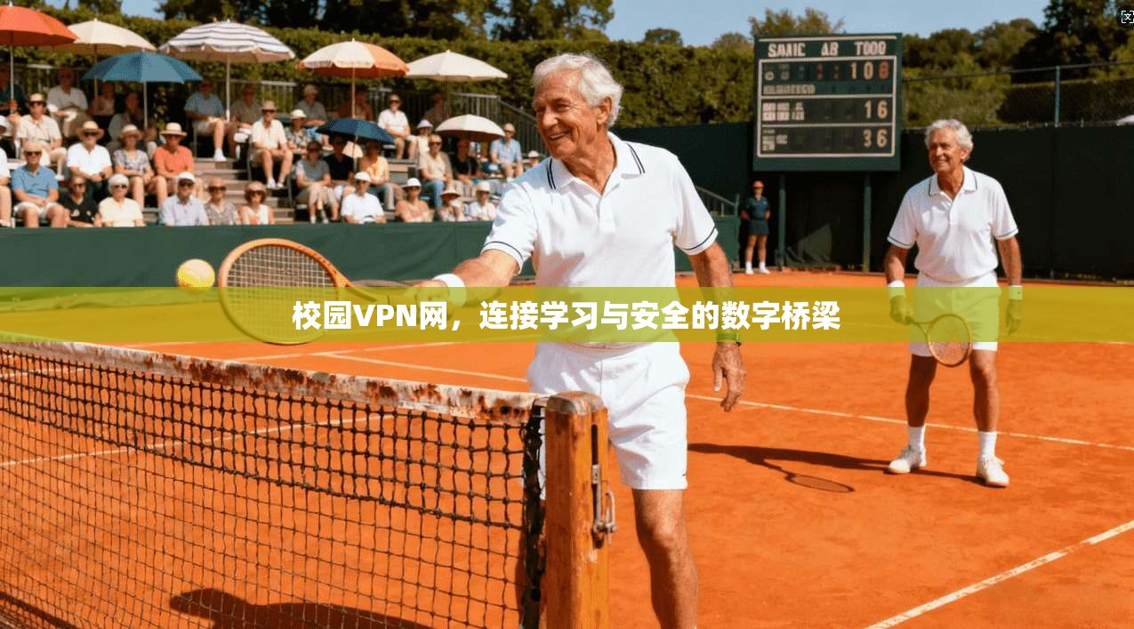 校园VPN网，连接学习与安全的数字桥梁