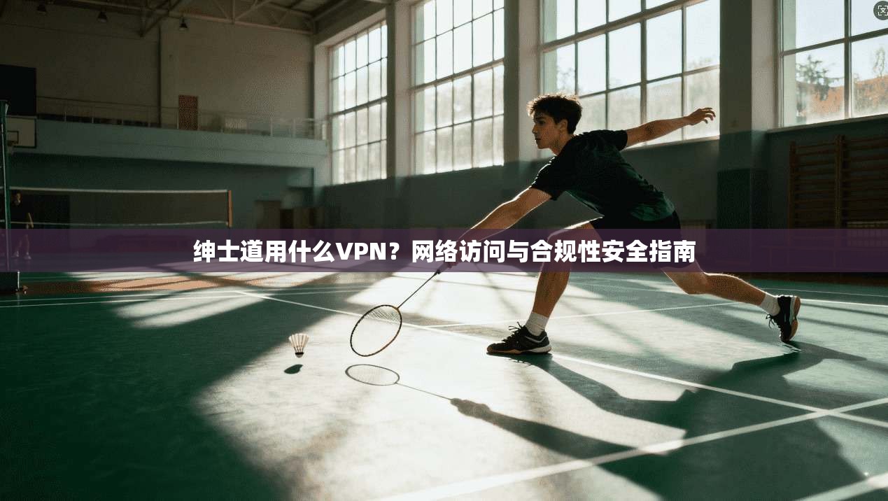 绅士道用什么VPN？网络访问与合规性安全指南