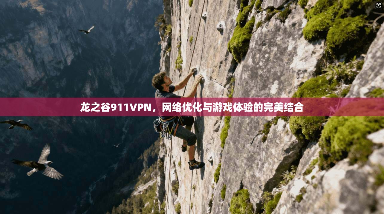 龙之谷911VPN，网络优化与游戏体验的完美结合