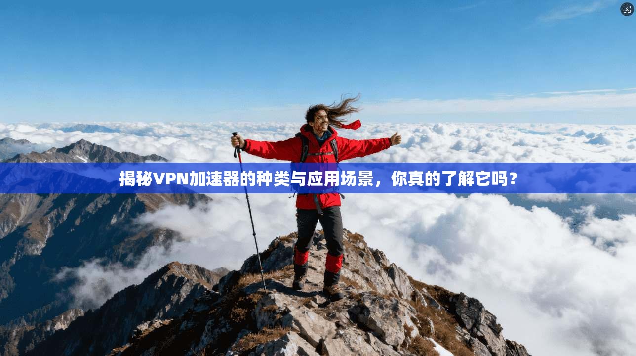 揭秘VPN加速器的种类与应用场景，你真的了解它吗？