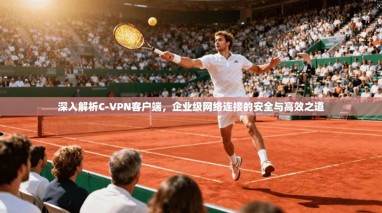 深入解析C-VPN客户端，企业级网络连接的安全与高效之道
