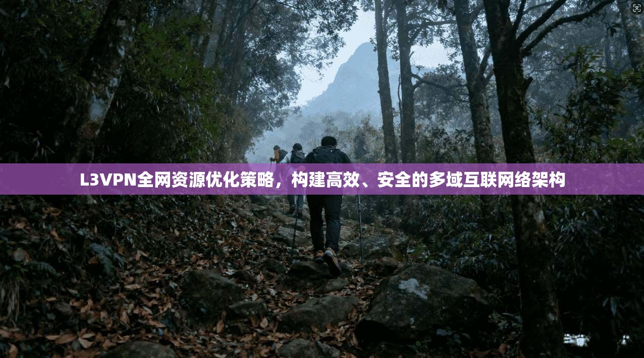 L3VPN全网资源优化策略，构建高效、安全的多域互联网络架构