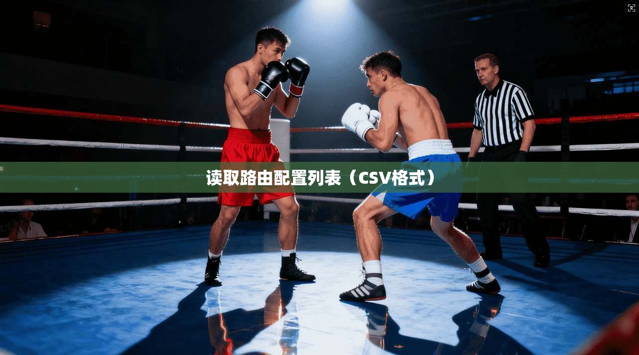 读取路由配置列表(CSV格式) 读取路由配置列表(CSV格式)