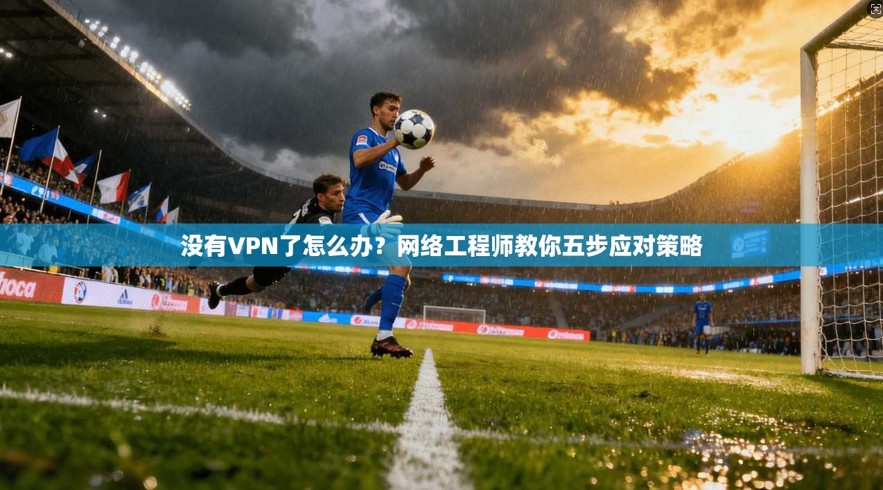 没有VPN了怎么办?网络工程师教你五步应对策略 没有VPN了怎么办?网络工程师教你五步应对策略