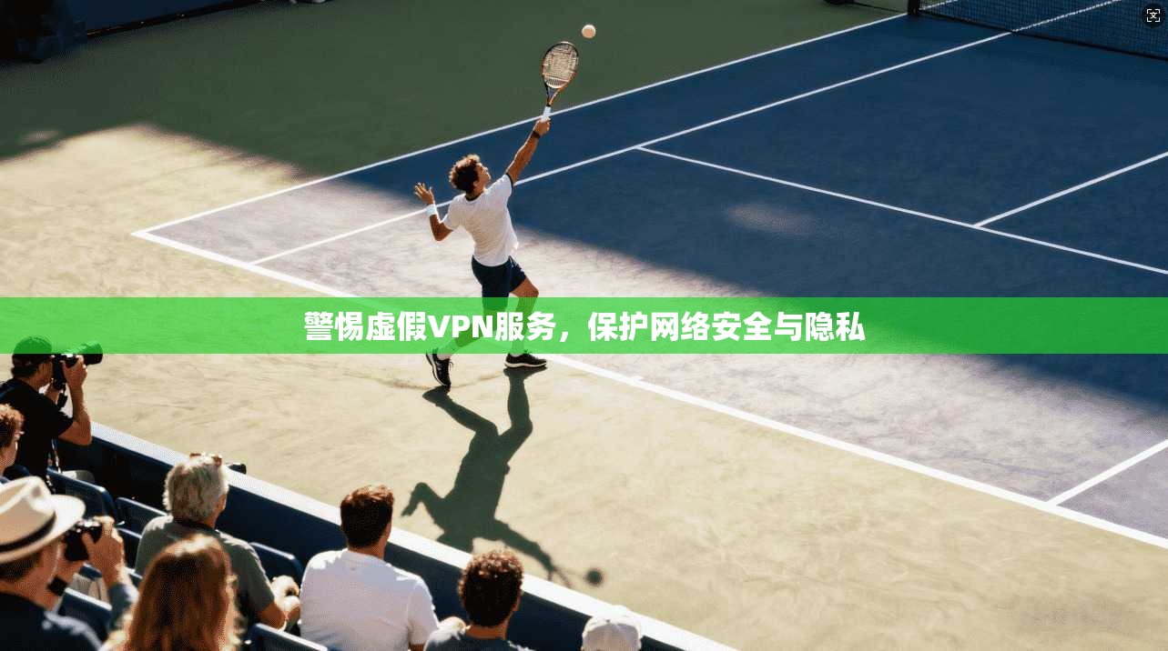 警惕虚假VPN服务,保护网络安全与隐私 警惕虚假VPN服务,保护网络安全与隐私