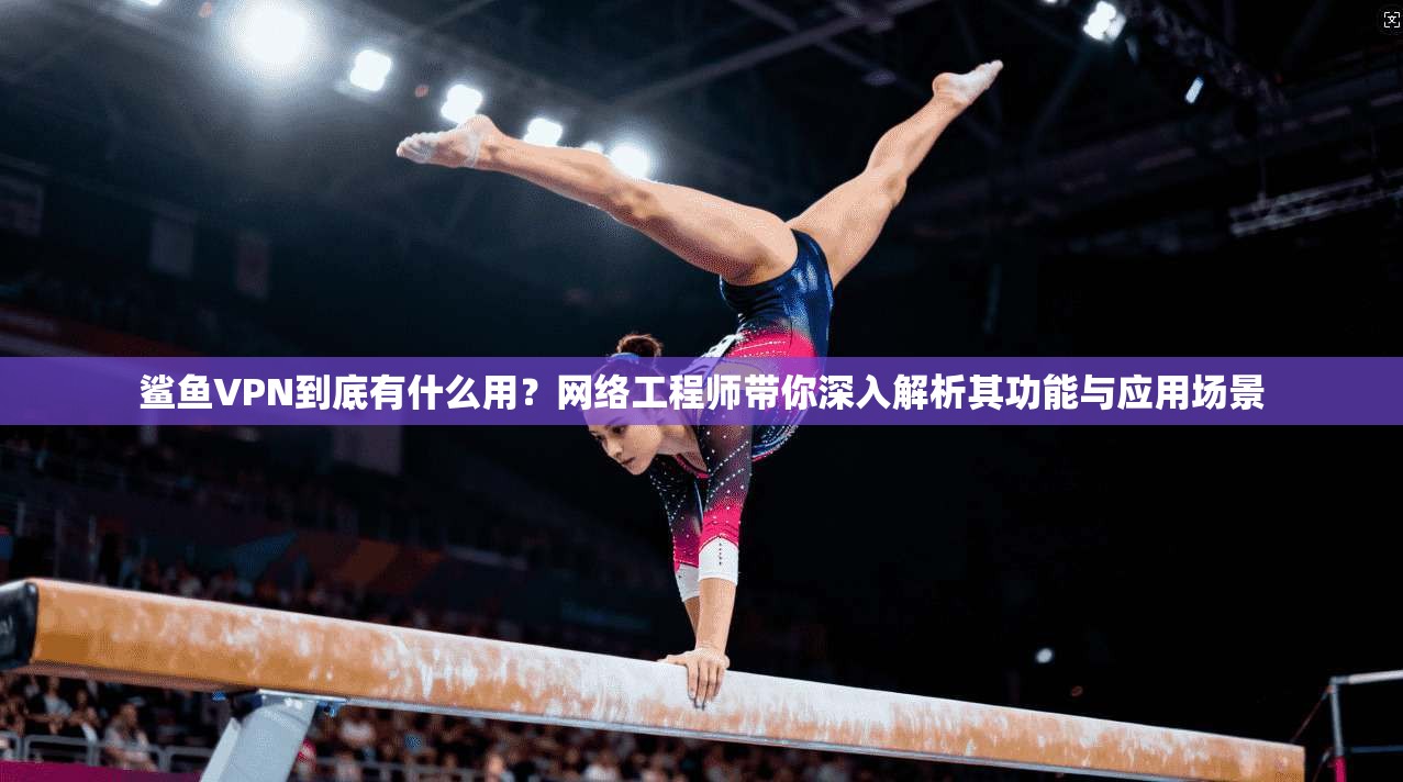 鲨鱼VPN到底有什么用?网络工程师带你深入解析其功能与应用场景 鲨鱼VPN到底有什么用?网络工程师带你深入解析其功能与应用场景