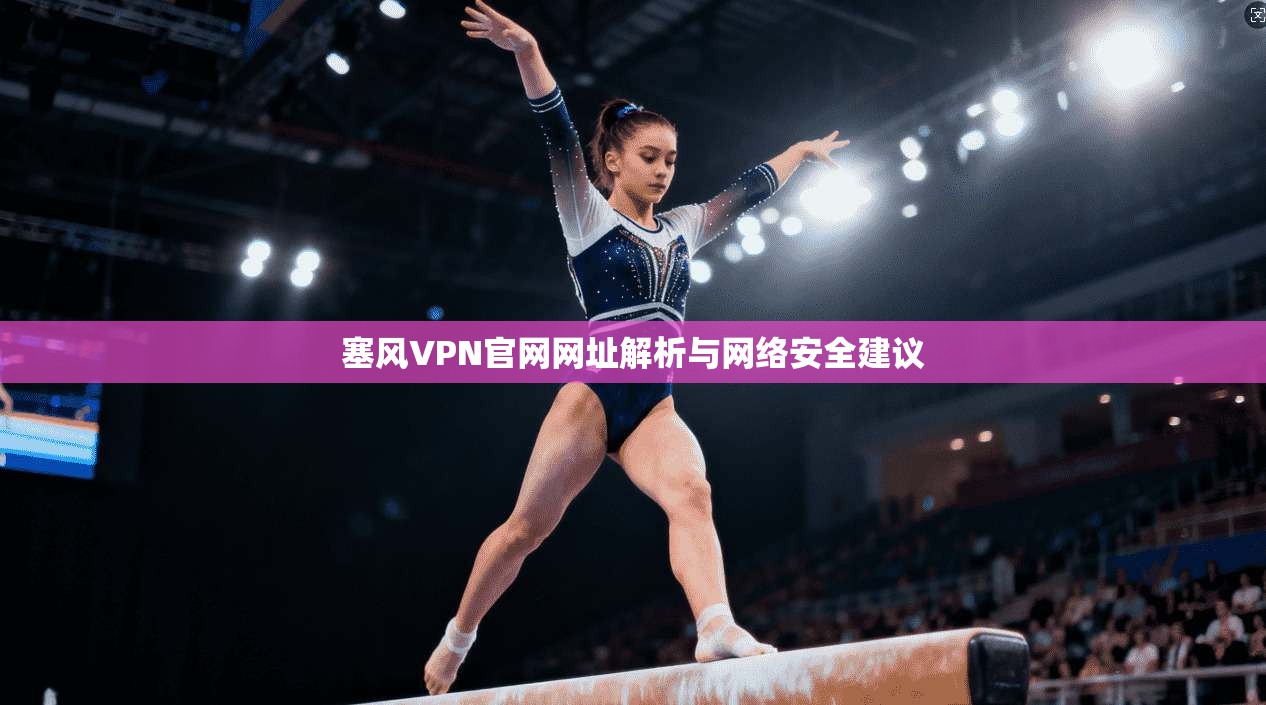 塞风VPN官网网址解析与网络安全建议 塞风VPN官网网址解析与网络安全建议