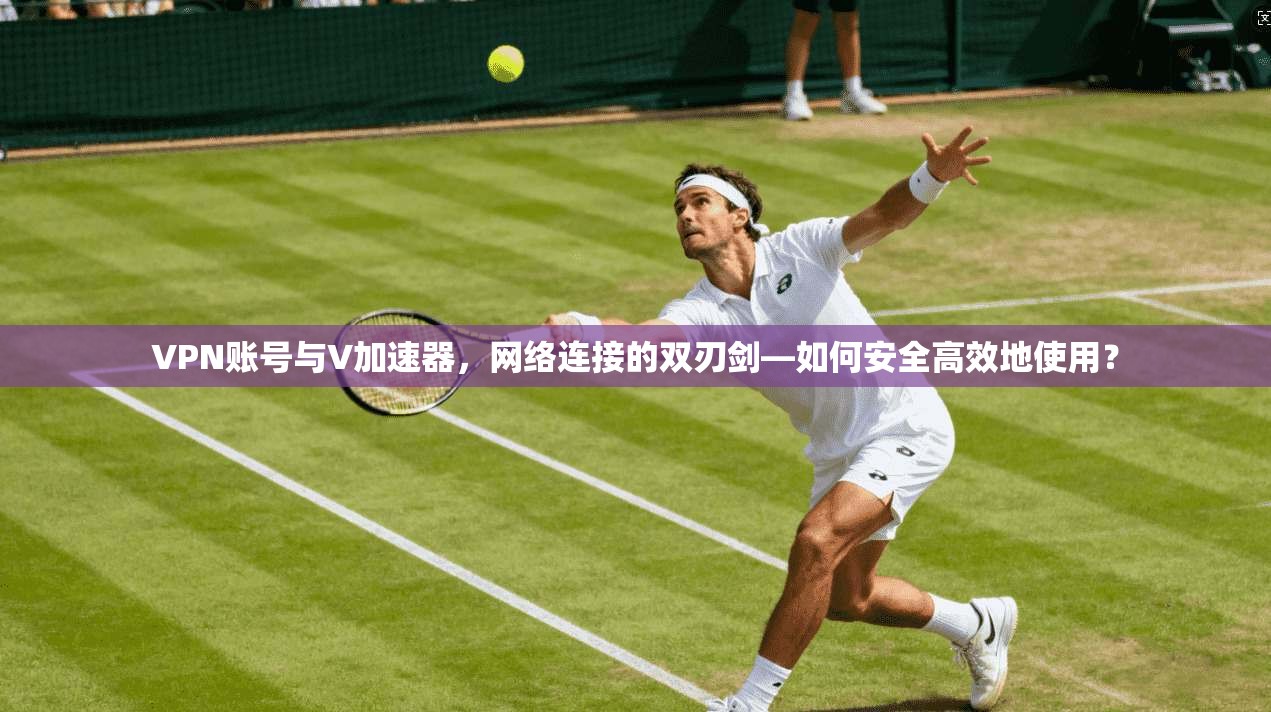 VPN账号与V加速器,网络连接的双刃剑—如何安全高效地使用? VPN账号与V加速器,网络连接的双刃剑—如何安全高效地使用?