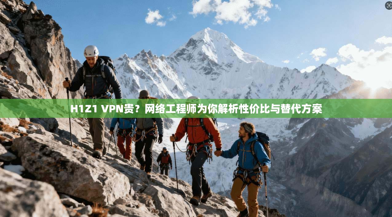 H1Z1 VPN贵？网络工程师为你解析性价比与替代方案