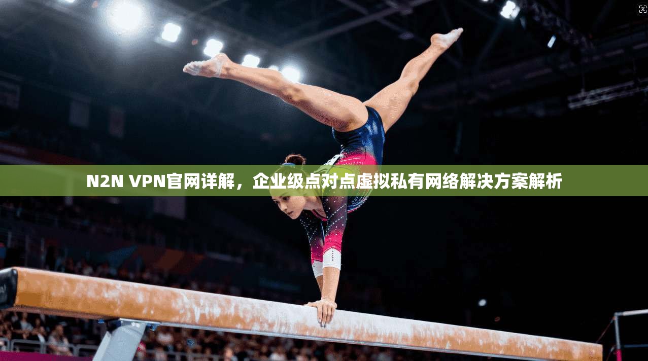 N2N VPN官网详解,企业级点对点虚拟私有网络解决方案解析 N2N VPN官网详解,企业级点对点虚拟私有网络解决方案解析