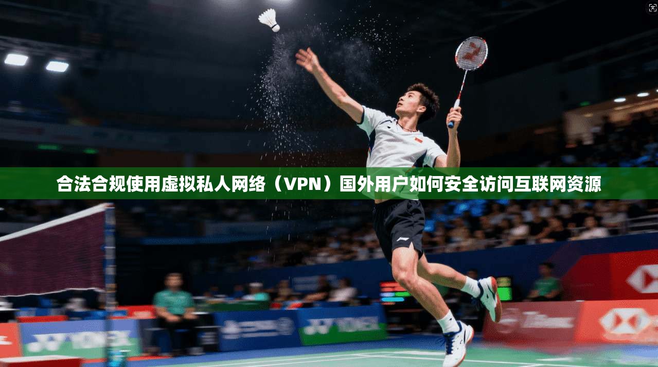 合法合规使用虚拟私人网络(VPN)国外用户如何安全访问互联网资源 合法合规使用虚拟私人网络(VPN)国外用户如何安全访问互联网资源