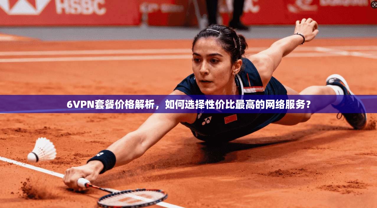 6VPN套餐价格解析,如何选择性价比最高的网络服务? 6VPN套餐价格解析,如何选择性价比最高的网络服务?