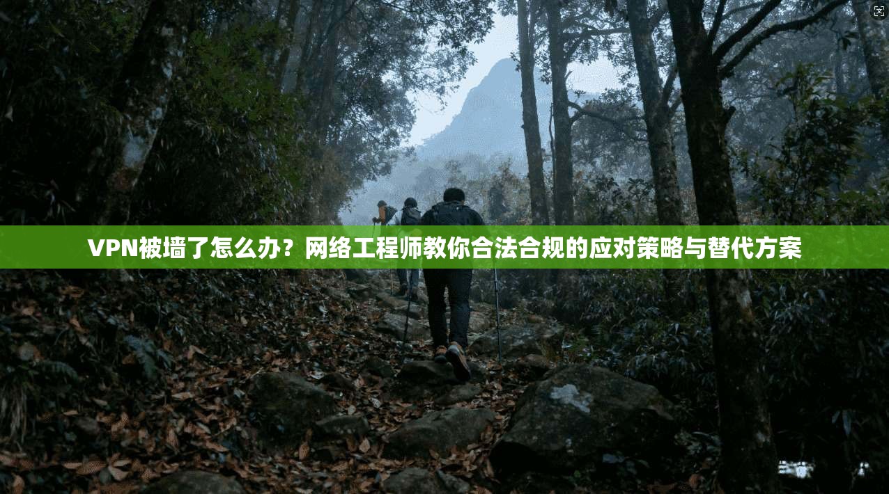 VPN被墙了怎么办?网络工程师教你合法合规的应对策略与替代方案 VPN被墙了怎么办?网络工程师教你合法合规的应对策略与替代方案