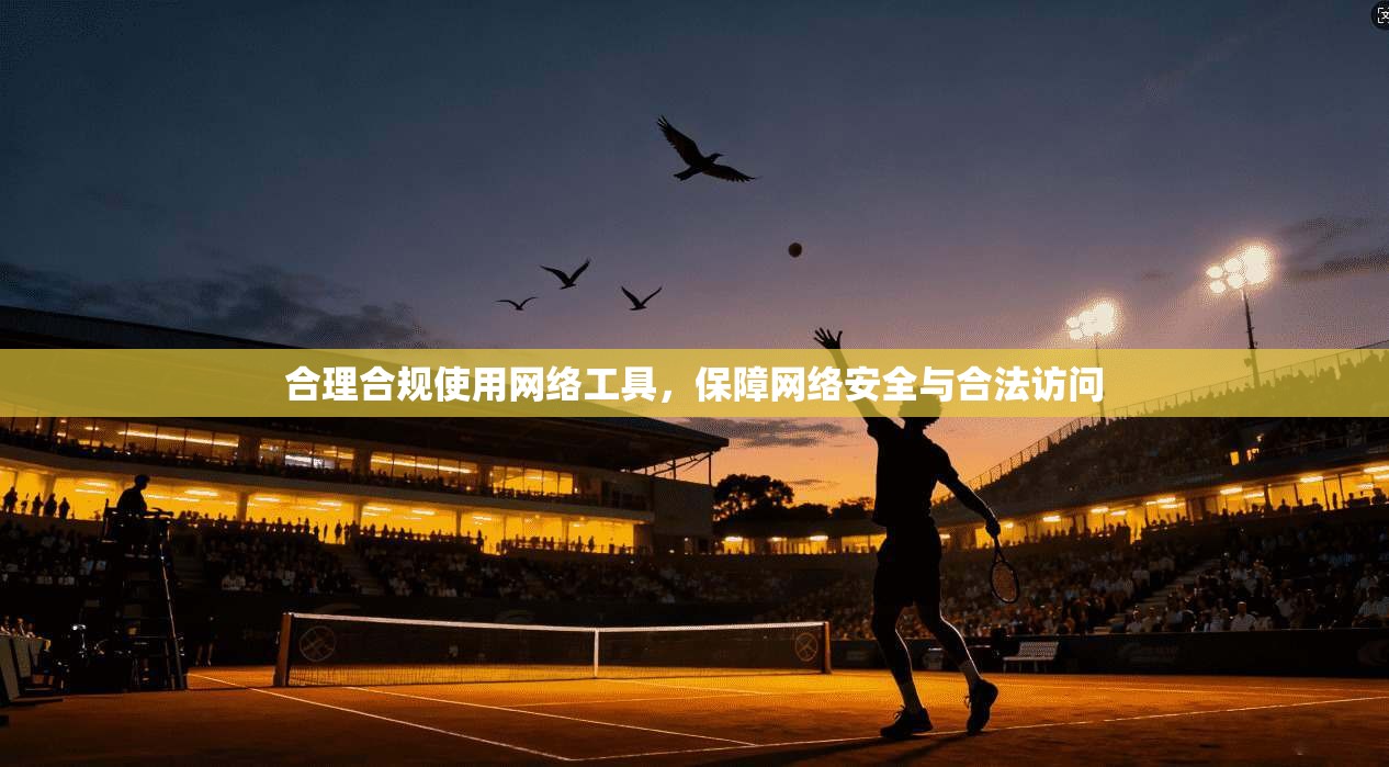 合理合规使用网络工具,保障网络安全与合法访问 合理合规使用网络工具,保障网络安全与合法访问