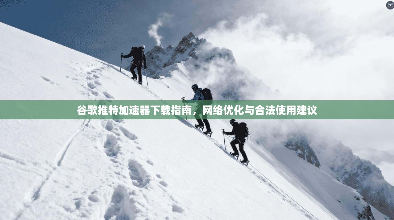 谷歌推特加速器下载指南，网络优化与合法使用建议