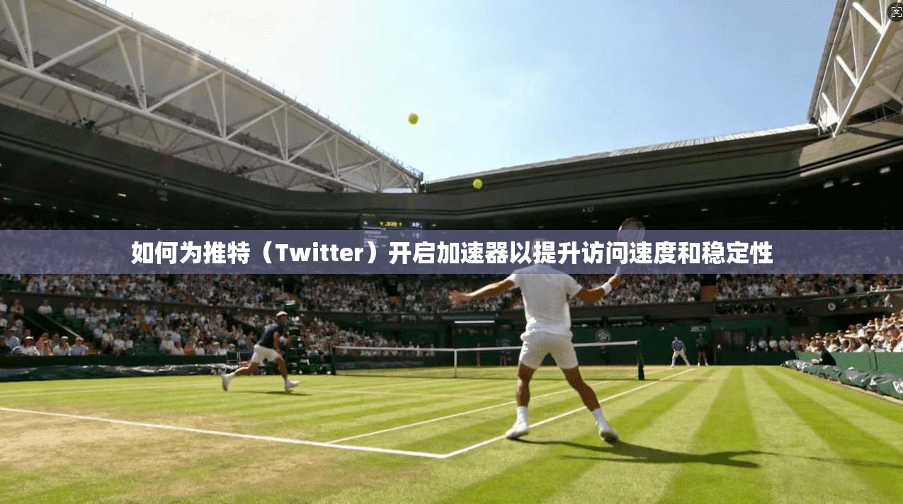 如何为推特（Twitter）开启加速器以提升访问速度和稳定性