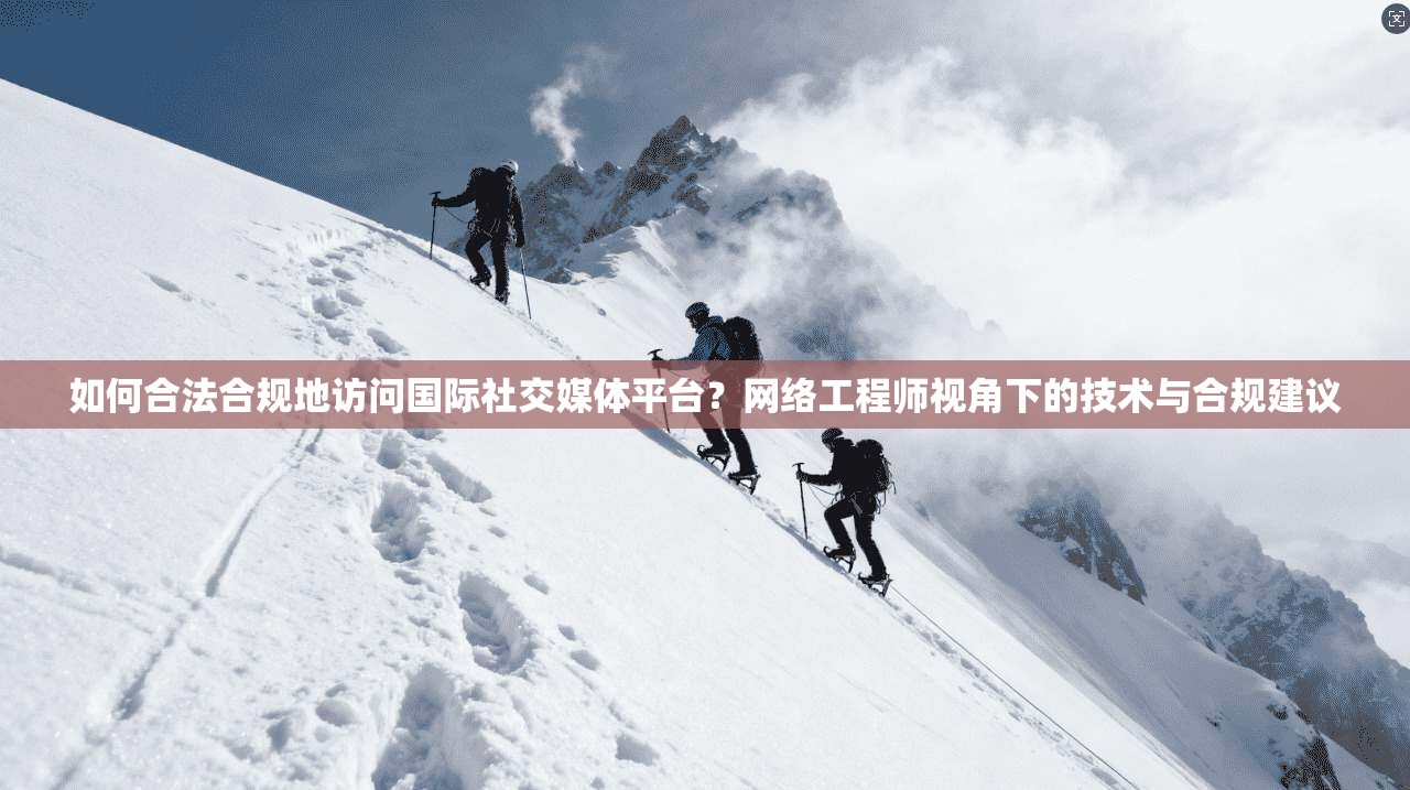 如何合法合规地访问国际社交媒体平台？网络工程师视角下的技术与合规建议
