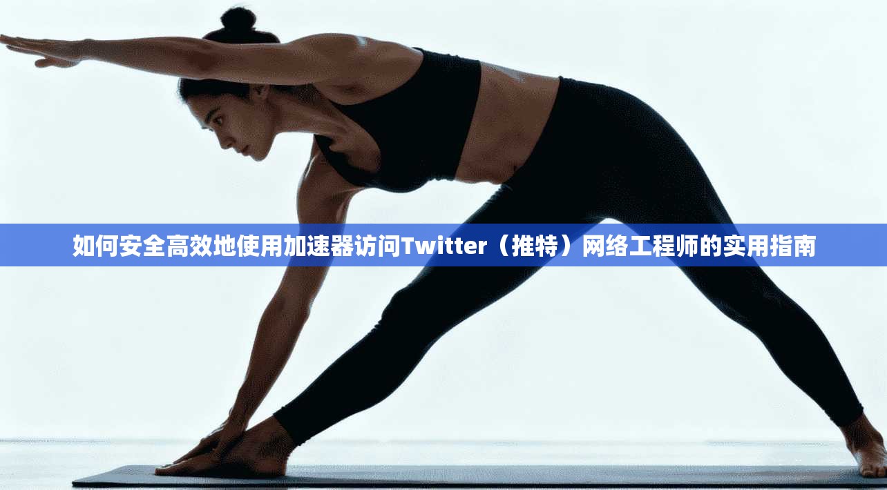 如何安全高效地使用加速器访问Twitter(推特)网络工程师的实用指南 如何安全高效地使用加速器访问Twitter(推特)网络工程师的实用指南