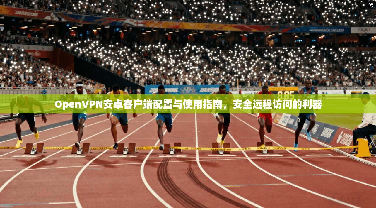 OpenVPN安卓客户端配置与使用指南,安全远程访问的利器 OpenVPN安卓客户端配置与使用指南,安全远程访问的利器