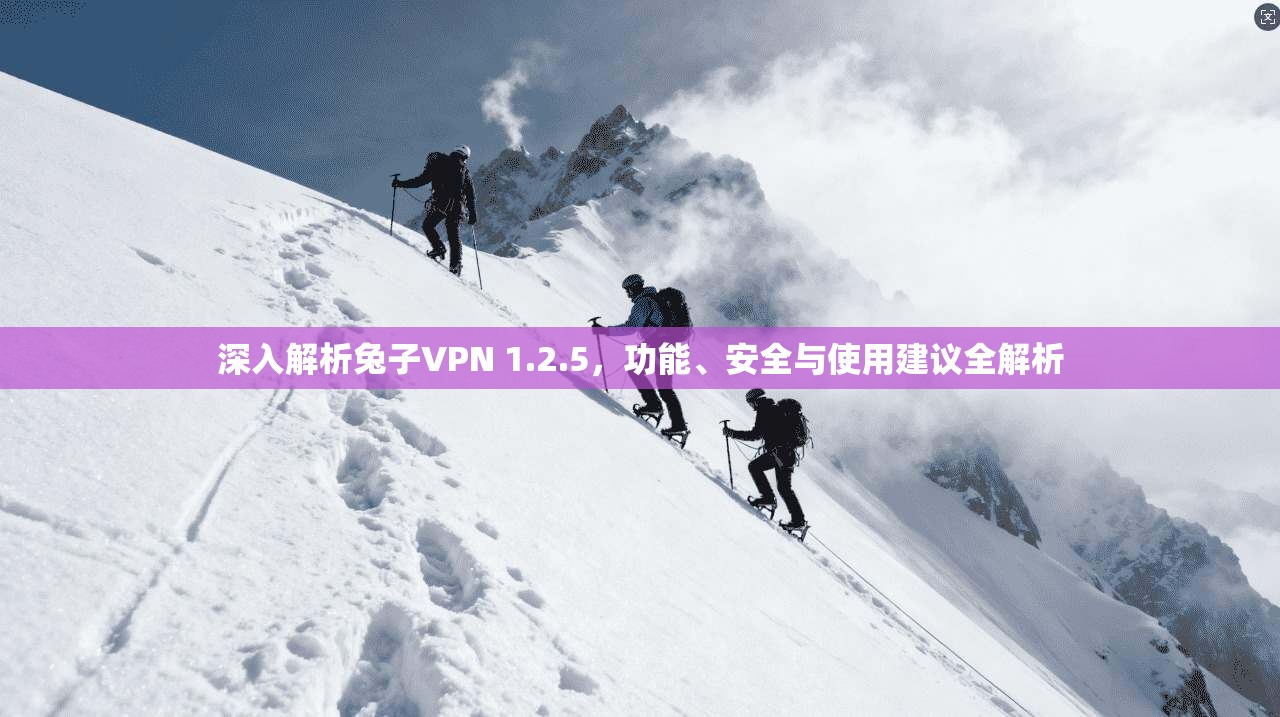 深入解析兔子VPN 1.2.5，功能、安全与使用建议全解析