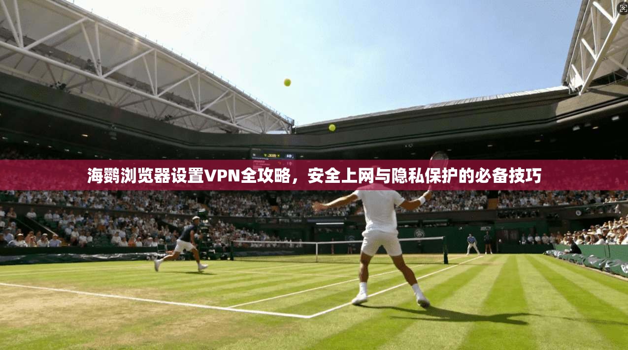 海鹦浏览器设置VPN全攻略,安全上网与隐私保护的必备技巧