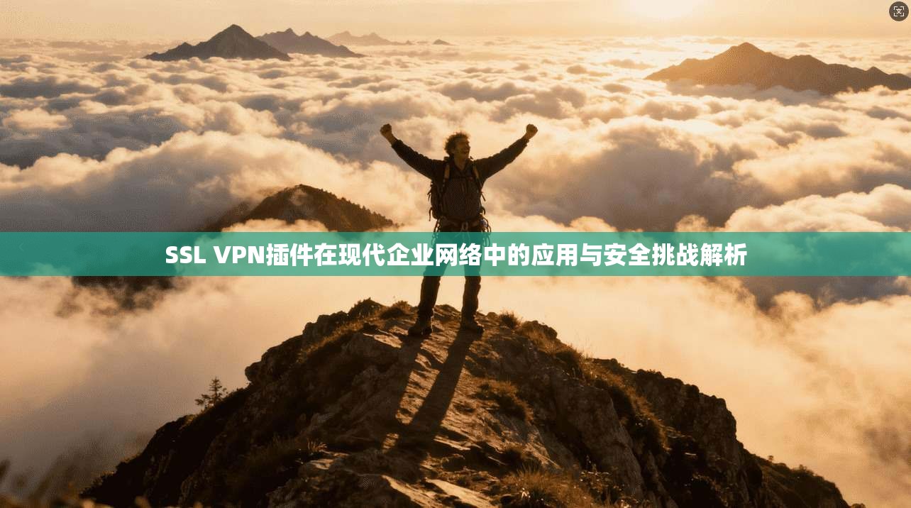 SSL VPN插件在现代企业网络中的应用与安全挑战解析