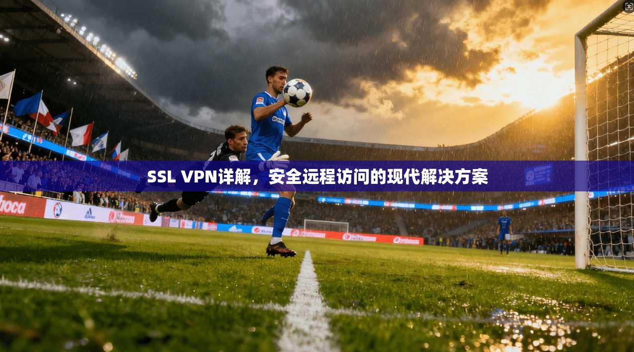 SSL VPN详解，安全远程访问的现代解决方案