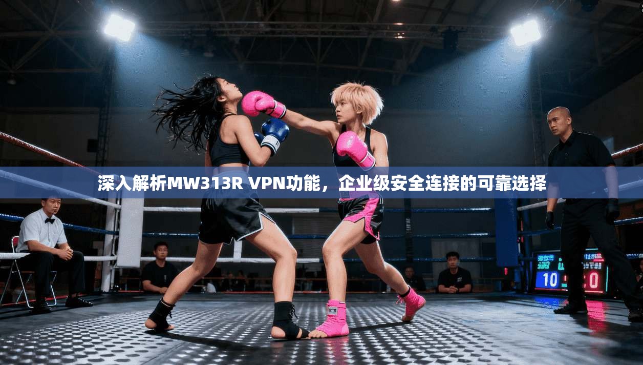 深入解析MW313R VPN功能,企业级安全连接的可靠选择 深入解析MW313R VPN功能,企业级安全连接的可靠选择