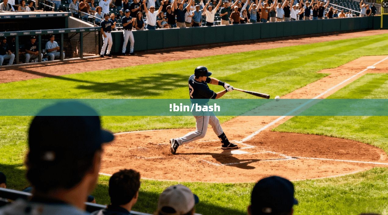 !bin/bash !bin/bash