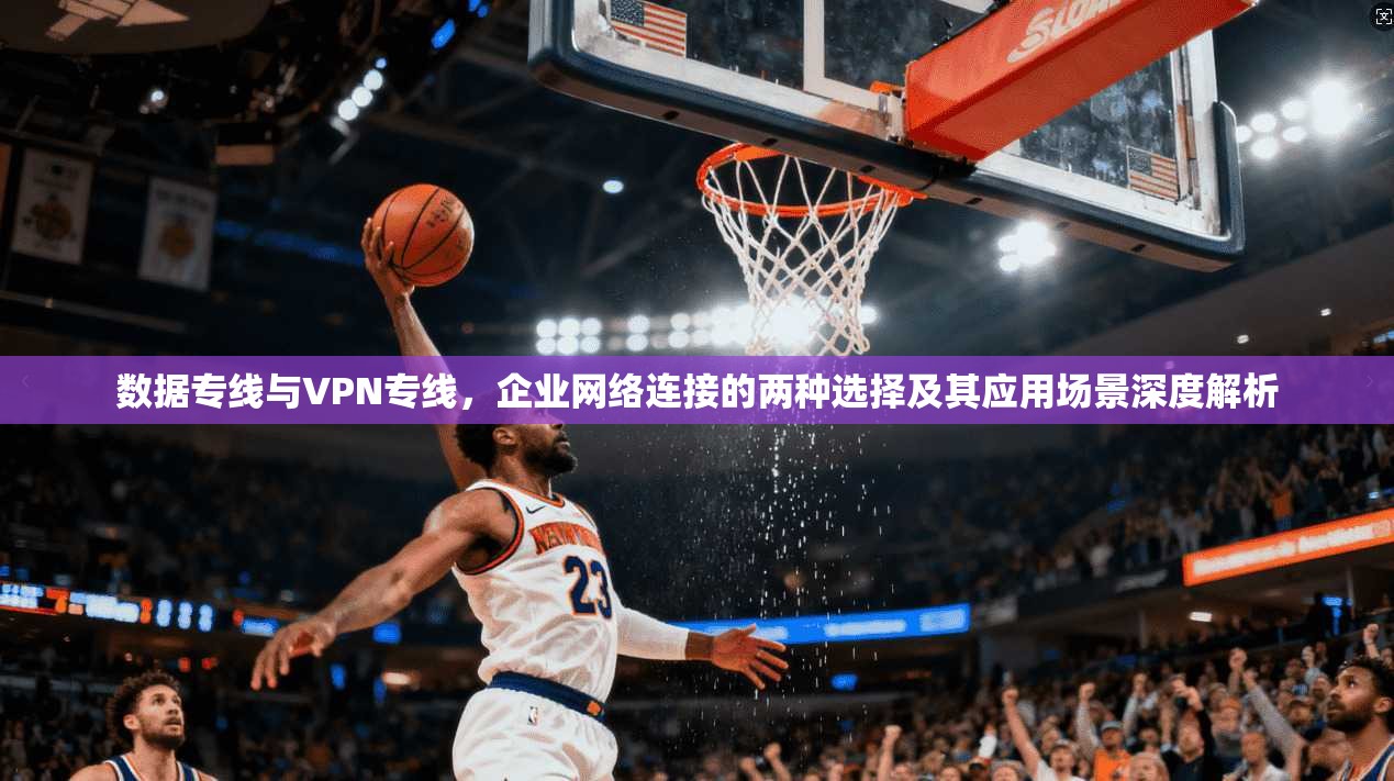 数据专线与VPN专线,企业网络连接的两种选择及其应用场景深度解析 数据专线与VPN专线,企业网络连接的两种选择及其应用场景深度解析