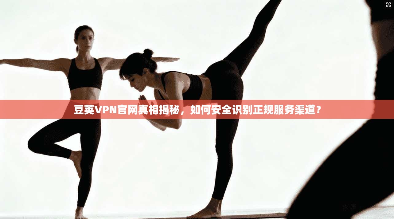 豆荚VPN官网真相揭秘,如何安全识别正规服务渠道? 豆荚VPN官网真相揭秘,如何安全识别正规服务渠道?