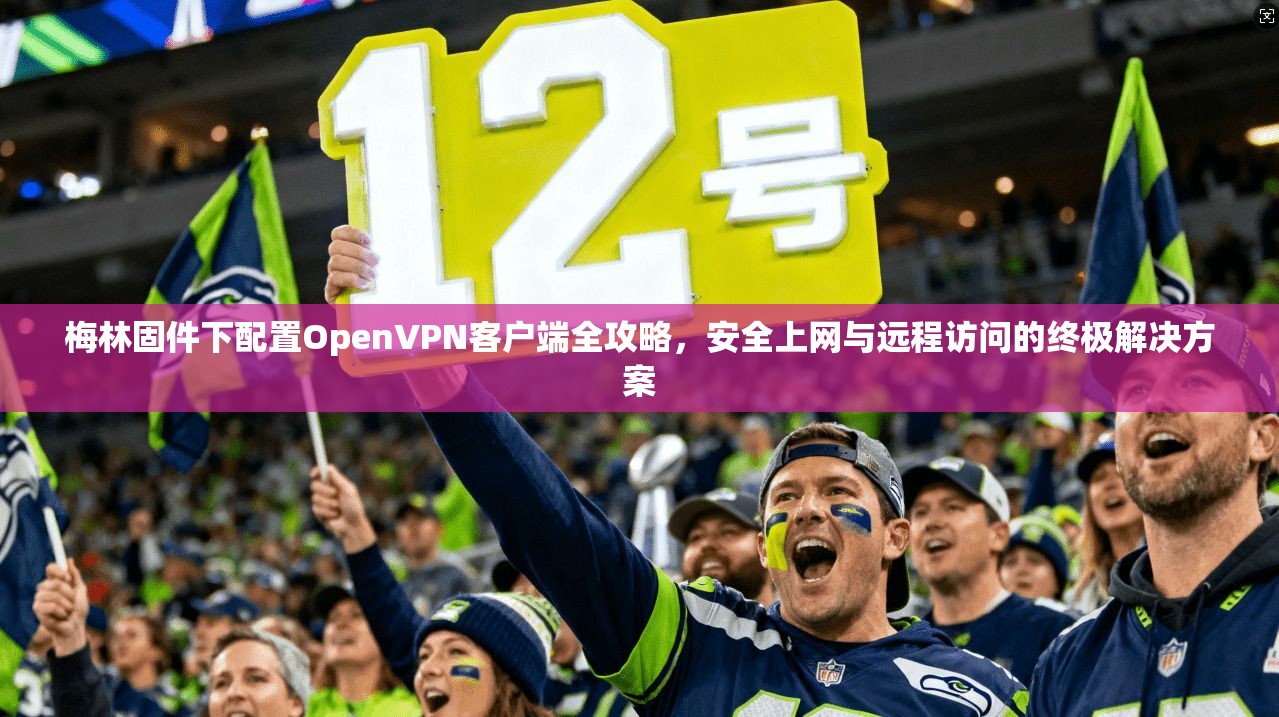 梅林固件下配置OpenVPN客户端全攻略,安全上网与远程访问的终极解决方案 梅林固件下配置OpenVPN客户端全攻略,安全上网与远程访问的终极解决方案