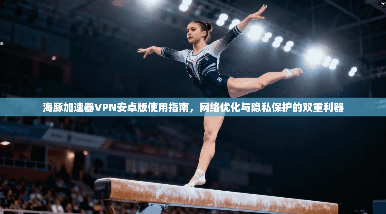 海豚加速器VPN安卓版使用指南,网络优化与隐私保护的双重利器 海豚加速器VPN安卓版使用指南,网络优化与隐私保护的双重利器