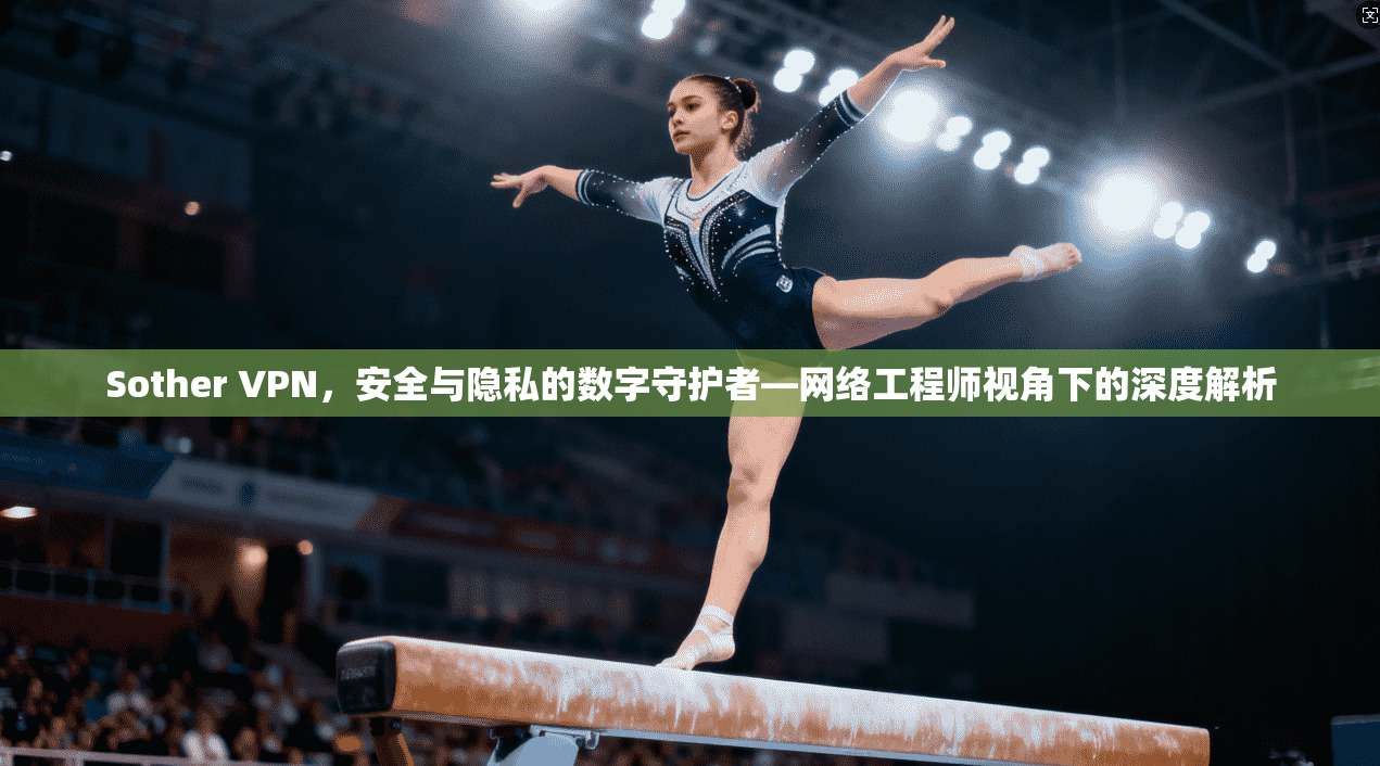 Sother VPN,安全与隐私的数字守护者—网络工程师视角下的深度解析 Sother VPN,安全与隐私的数字守护者—网络工程师视角下的深度解析
