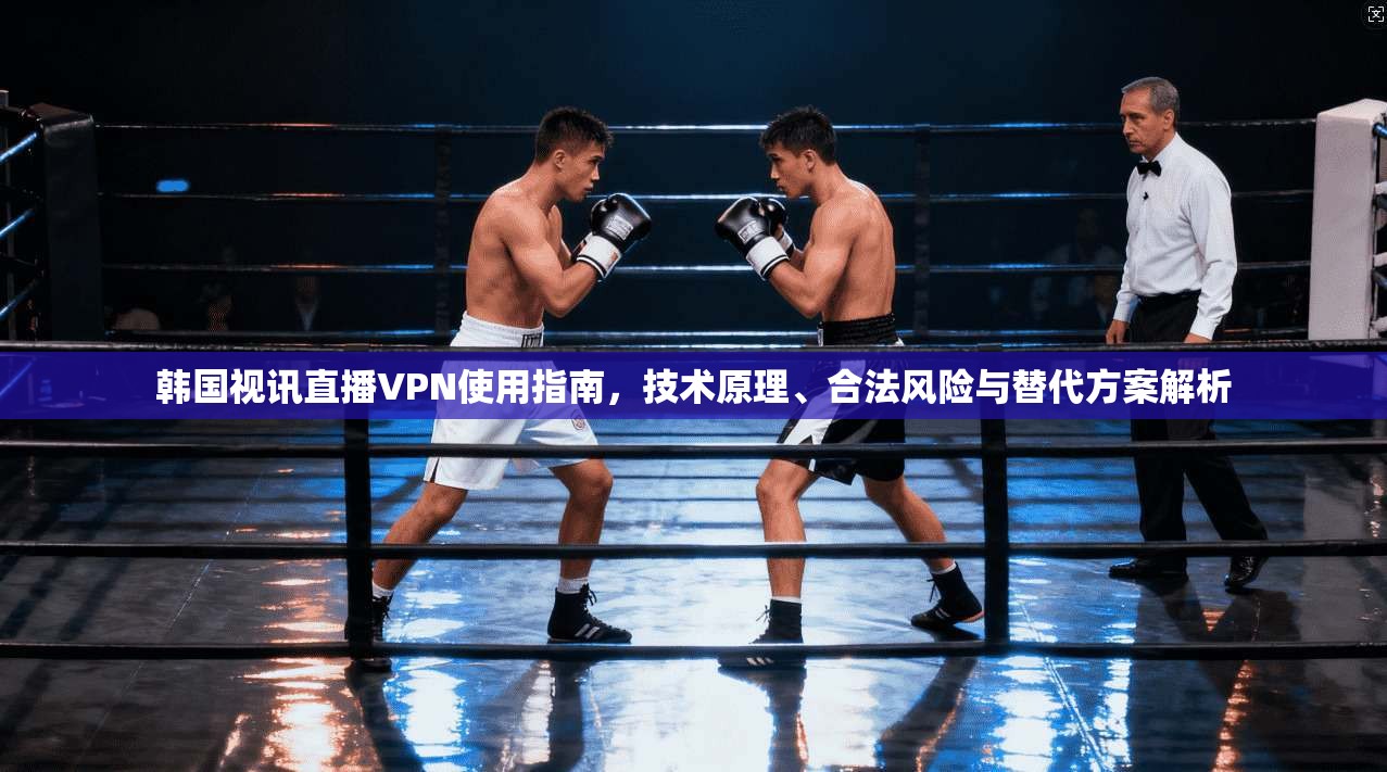韩国视讯直播VPN使用指南,技术原理、合法风险与替代方案解析 韩国视讯直播VPN使用指南,技术原理、合法风险与替代方案解析