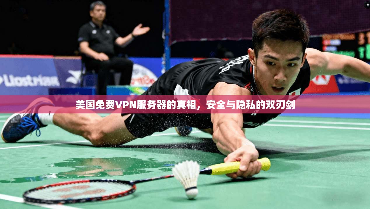 美国免费VPN服务器的真相,安全与隐私的双刃剑 美国免费VPN服务器的真相,安全与隐私的双刃剑