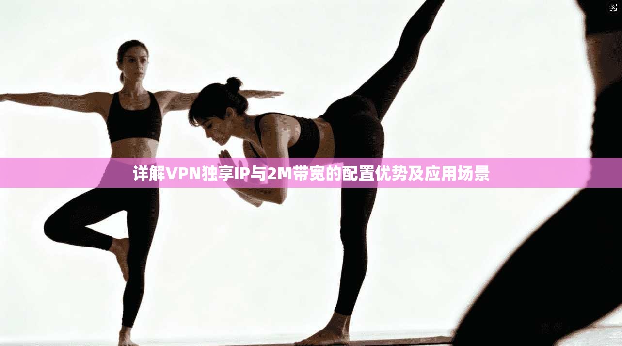 详解VPN独享IP与2M带宽的配置优势及应用场景 详解VPN独享IP与2M带宽的配置优势及应用场景