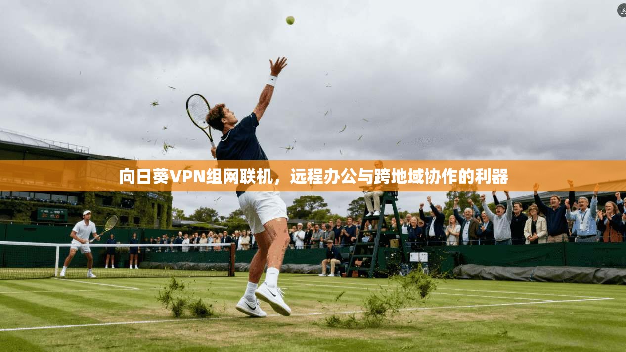 向日葵VPN组网联机,远程办公与跨地域协作的利器 向日葵VPN组网联机,远程办公与跨地域协作的利器
