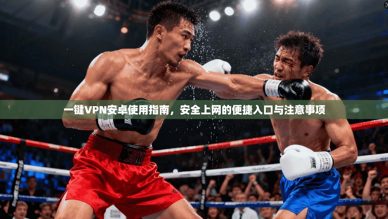 一键VPN安卓使用指南,安全上网的便捷入口与注意事项 一键VPN安卓使用指南,安全上网的便捷入口与注意事项