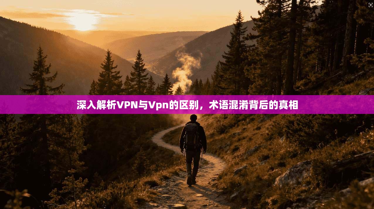 深入解析VPN与Vpn的区别,术语混淆背后的真相 深入解析VPN与Vpn的区别,术语混淆背后的真相